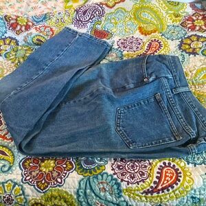 3/$15. Blu blue jeans size 14P